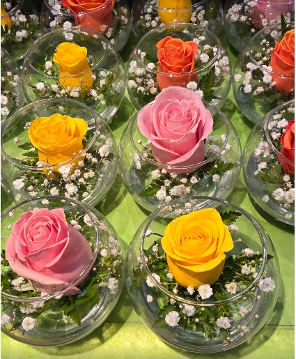 ROSE BOWL FOR ONE OR MANY !!! Comes in assorted Rose colours