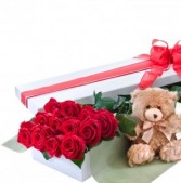 Rose Box & Plush 