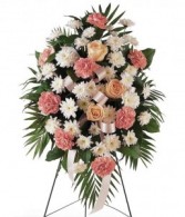 Rose & Carnation Spray Sympathy