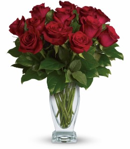 Rose Classique H652A