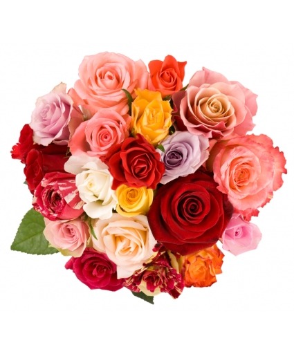 Rose Delight 36 LONG STEM Mix Roses