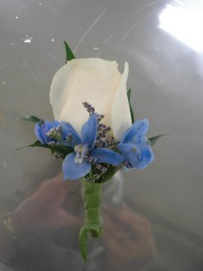 ROSE AND DELPHINIUM BOUTONNIERE 