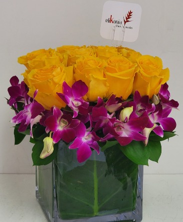 Rose Dendrobium Gift Designer's Choice in San Juan, PR | ELIKONIA FLOWERS