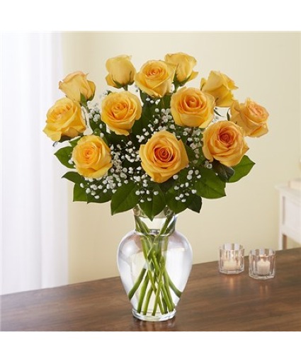 Rose Elegance™ 12 Yellow Roses 