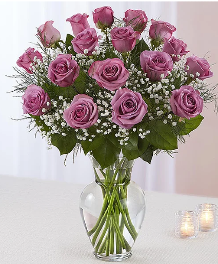 Lavender Rose Elegance Roses