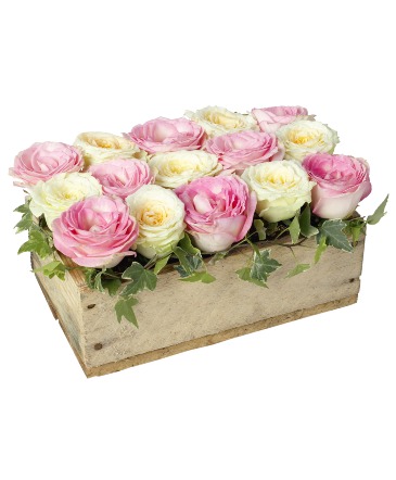 Rose Elegance Bloom Box Arrangement in Coral Springs, FL | DARBY'S FLORIST