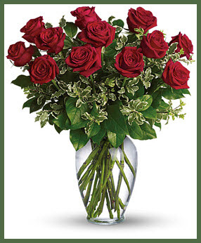 Dozen Long Stemmed Roses  Your Choice Of Color!
