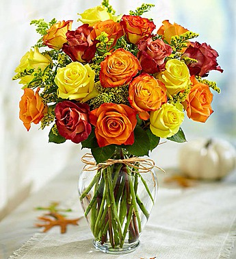 Rose Elegance™ Premium Autumn Roses in Clarksville, TN ...