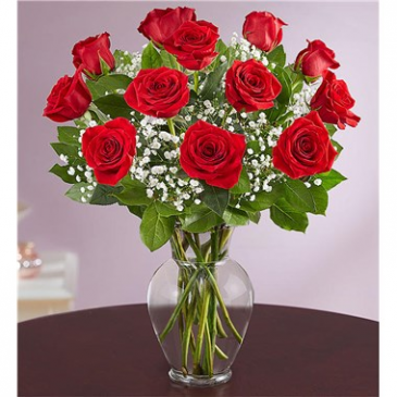 Rose Elegance™ Premium Long Stem Red Roses  in Brooklyn, NY | FLORAL FANTASY