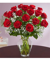 Rose Elegance Premium Long Stem Red Roses 