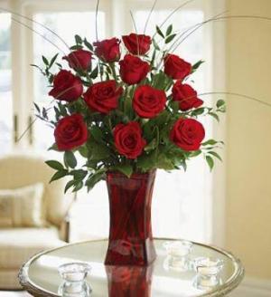 Rose Elegance  Red Roses Roses