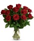 Rose Elegance  12  Red Roses Roses