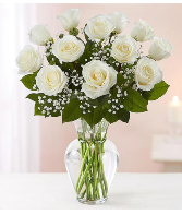 Rose Elegance™ Premium Long Stem White Roses 