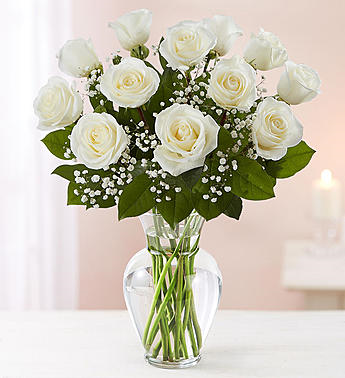 Rose Elegance  Premium Long Stem White/Ivory Roses 