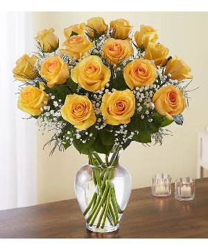 Rose Elegance Premium Long Stem Yellow Roses 