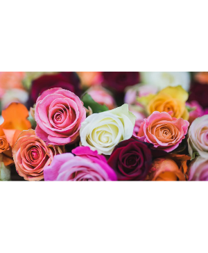 Designer's Choice Dozen  Rose Flower Bouquet 