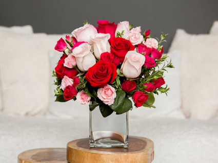 Rose Galore