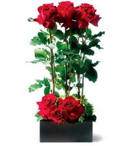 Rose Garden 1 Dozen Red Roses with Artistic Flair