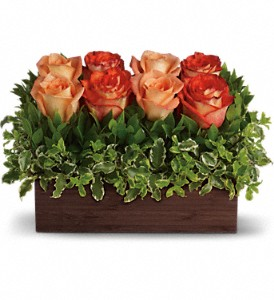 Rose Garden Roses