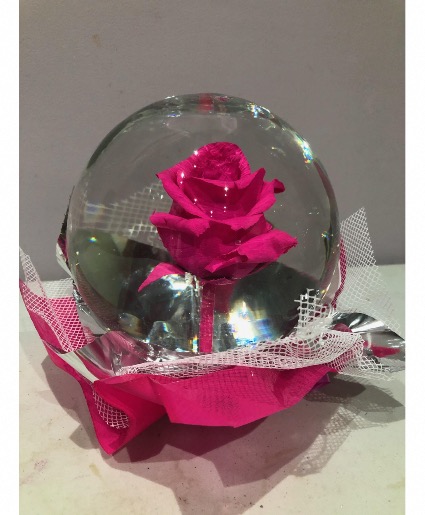 Rose Globe Long lasting rose. (Color may vary 