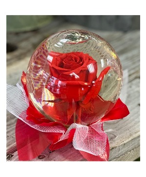 Rose Globe  