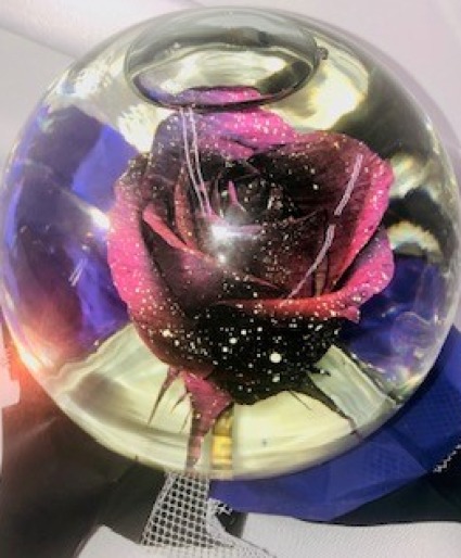 Rose Globe - Galaxy