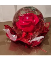Rose Globe (Limited Supply  100% real rose (Color May vary