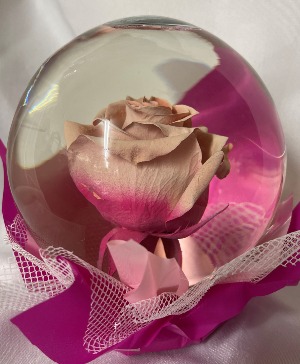Rose Globe Pink Ombre 