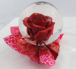 Rose Globe Rose