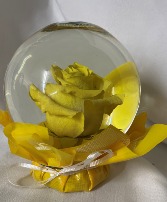 Rose Globe yellow 