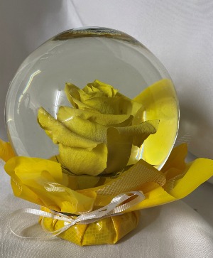 Rose Globe yellow 