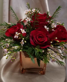 Category Image