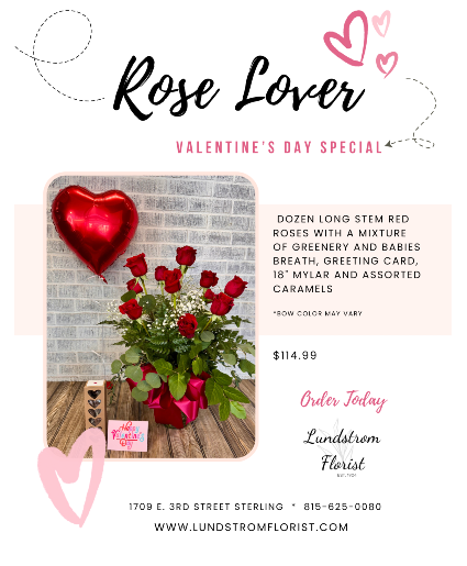 ROSE LOVER VALENTINE'S DAY SPECIAL 