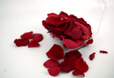 Box of Red Rose Petals 