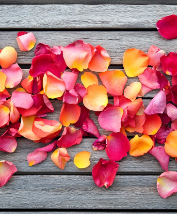 Rose Petals  in Winnipeg, MB | MYRA ROSE FLORIST