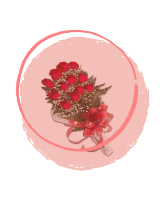 Rose presentation wrap 