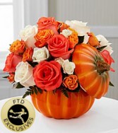 rose pumpkin 