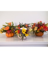 Buy a Pumpkin - Get a Wrap FREE 