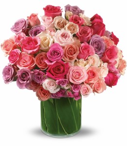 Rose Rapture HRS031A