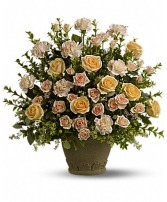 Rose Rememberance 