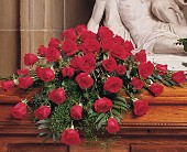 Category Image