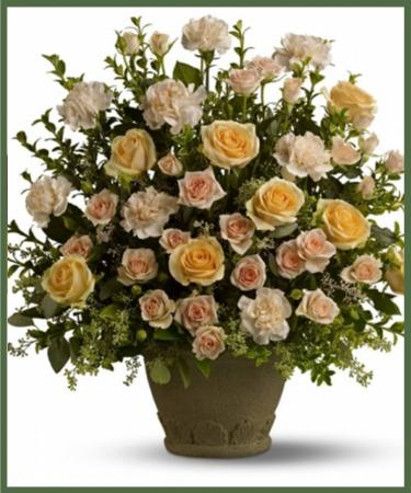 Rose Remembrance Rose Remembrance