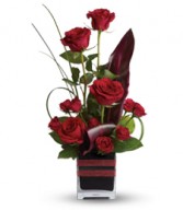 Rose Rhapsody 