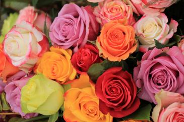 Rose Special - Cash or Credit card  and Carry (Per-order & Arranged pick up only) at lakeside office no walk-ins in Henrico, VA | WG Miller Creations Florist & Gift Shop
