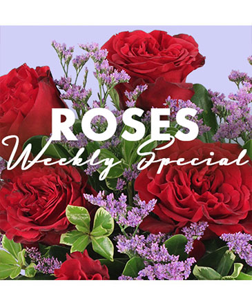 Rose Special Designer's Choice in Stephenville, TX | University Flowers & More