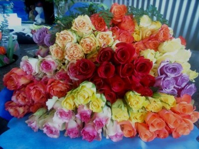ROSE SPECIAL STARTING JUNE 20TH! 1 DZ  LONG STEM ROSES IN VASE $49.95! Upgrades available.