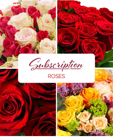 Rose Subscription Monthly Subscription in Port Dover, ON | Upsy Daisy Floral Studio