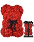 Rose Teddy 