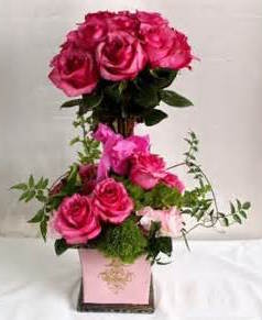 Rose Topiary  Stunning Bright Pink Roses 
