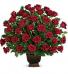Purchase this funeral home arrangement